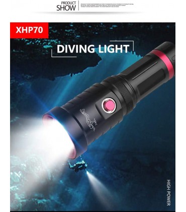 LUXJUMPER Tauchlampe bis 150 Meter Tiefe Wiederaufladbar 8000 Lumen Tauchen Taschenlampe IPX8 Wasserdicht für Aktivitäten im Innen- und Außenbereich mit 26650 Akkus und USB Ladegerät - BKTPB929