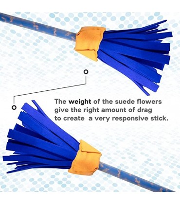Picasso Handbemaltes Blumenstick-Set – Pro Fiberglas und Silikonstab und Handstäbchen – inklusive Cascade-Tasche Blau und Orange - BEAXADB3